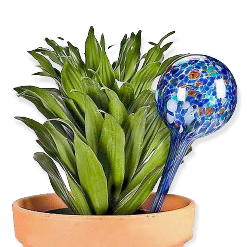 πAutomatic Plant Watering Glass Globe